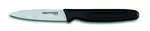Dexter Russell 31436, Paring Knife