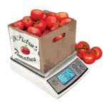 Penn Scale PS-50, Scale, Portion, Digital